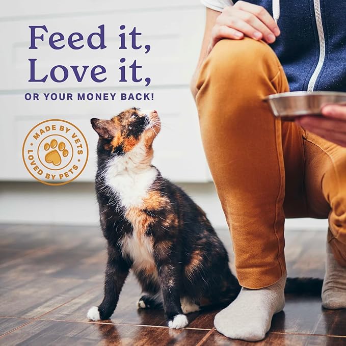 The Missing Link Feline Superfood Supplement Powder 6oz Bag, Veterinarian Formulated, Balanced Omega 3 & 6 for Healthy Skin & Coat, Digestion, Immunity & Overall Cat Health