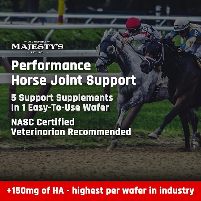 Majesty's Flex Wafers - Superior Horse/Equine Joint Support Supplement - Glucosamine, MSM, Chondroitin, Yucca, Vitamin C (Regular, 2 Pack (120 Count Total))