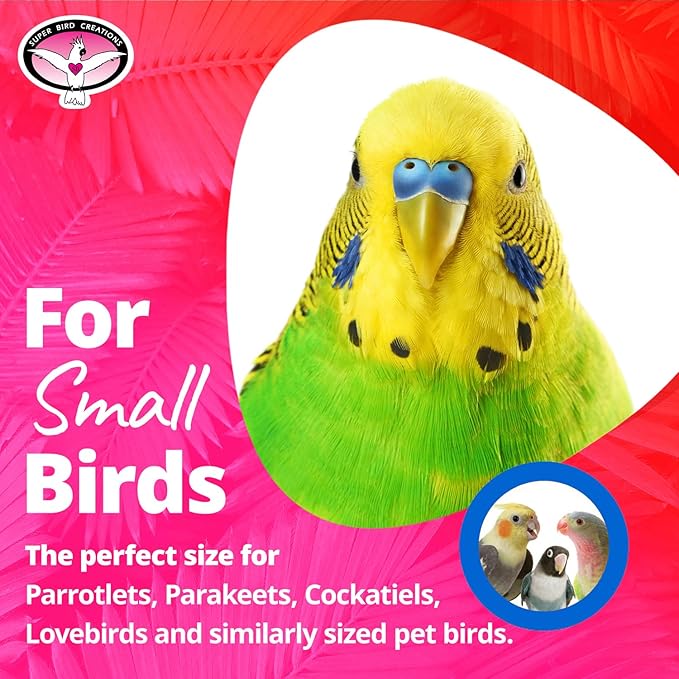 Super Bird Creations SB680 Balsa Stack Bird Toy, Small Bird Size, 6.5" x 2"