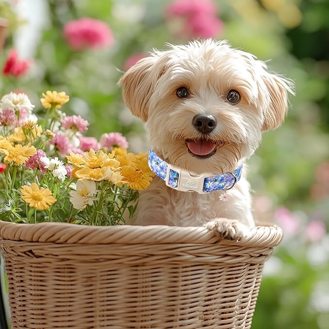 Floral Dog Collar for Large Dogs - Cute Spring Dog Collars, Soft Lightweight Bee & Daisy Puppy Collar, Breathable Adjustable Male Female Blue Wildflowers Dogs Collars L