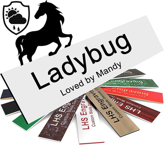 Personalized Horse Stall Name Plates, 2x10 Horse Stall Signs with Adhesive, All Weather UV Protected, White Plastic Black Letters - Made in USA - B16