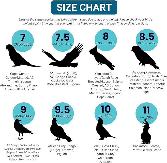 Bev's Bird Boutique Regular Flyper Adjustable Bird Diaper | Reusable, Washable Cloth | Comfort Fit for Parrot, Cockatiels, & Other Small Birds | Fashionable Avian Accessories, Pirate, Size 8.5
