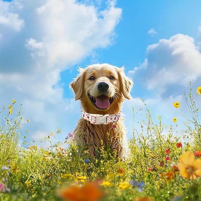 Ladybug Dog Collar for Large Dogs - Cute Spring/Summer Dog Collar, Lightweight Adjustable Cartoon Love Bug Garden Mom Dogs Collars with Quick Release Buckle L