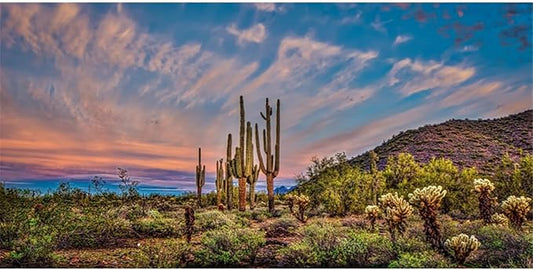 AWERT 60x24 inches Terrarium Background Blue Sky Cloud Huge Cactus Oasis Gobi Reptile Habitat Background Vinyl