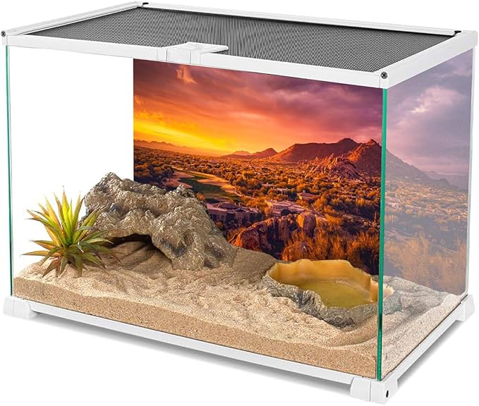 AWERT 72x16 inches Sun and Desert Terrarium Background Mountain Oasis Gobi Reptile Habitat Background Vinyl