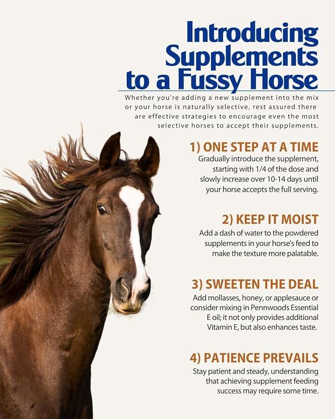 Pennwoods Body Builder Compete: Advanced Horse Weight Gain Supplement, Designed for Competition and Sale, 22lb Bag