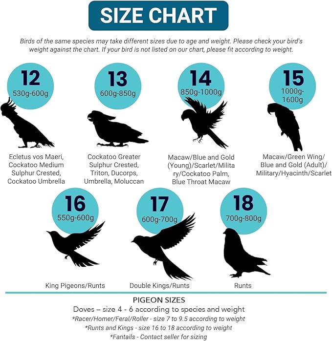 Bev's Bird Boutique Regular Flyper Adjustable Bird Diaper | Reusable, Washable Cloth | Comfort Fit for Parrot, Cockatiels, & Other Small Birds | Fashionable Avian Accessories, Pirate, Size 6.5