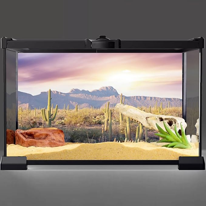 AWERT Reptile Habitat Background Blue Sky Oasis Mountain Cactus Sun and Desert Terrarium Background 24x16 inches