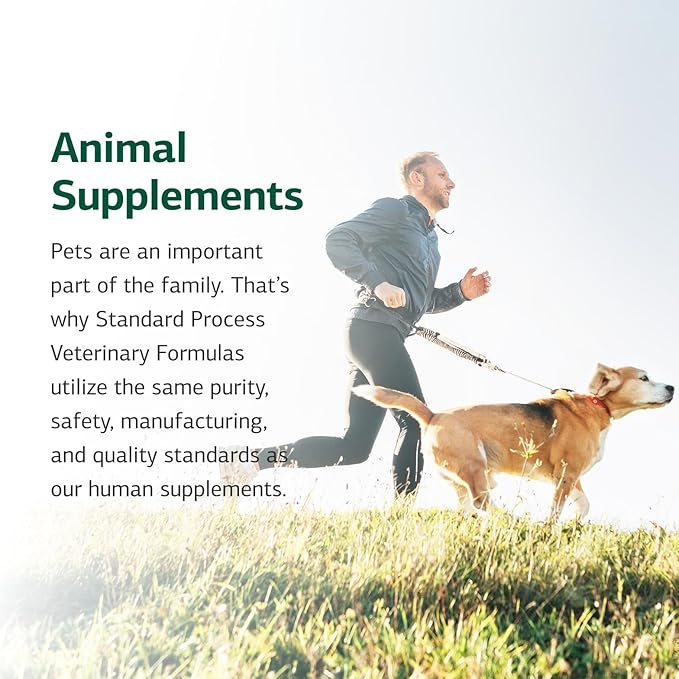 Standard Process Inc. Feline Enteric Support - 90 Tablets