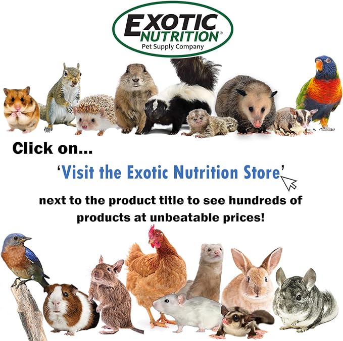 Exotic Nutrition Omega YUMS Fish Stick Treat for Sugar Gliders | All Natural & Made with Real Fish (1)