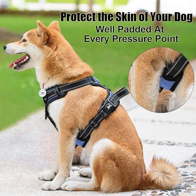 PoyPet No Pull Dog Harness, Reflective Comfortable Vest Harness with Front & Back 2 Leash Attachments and Easy Control Handle Adjustable Soft Padded Pet Vest for Small to Large Dogs (Light Blue,XL)