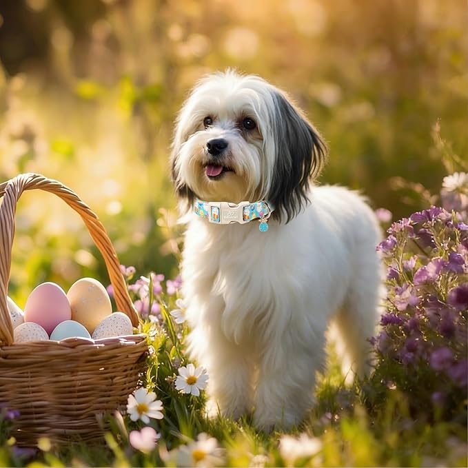 Easter Dog Collar for Large Dogs - Cute Easter Egg Hunt Dog Collars for Boy Girl Dogs, Playful Bunny & Chick Print, Lightweight Adjustable Spring Holiday Dog Collar L