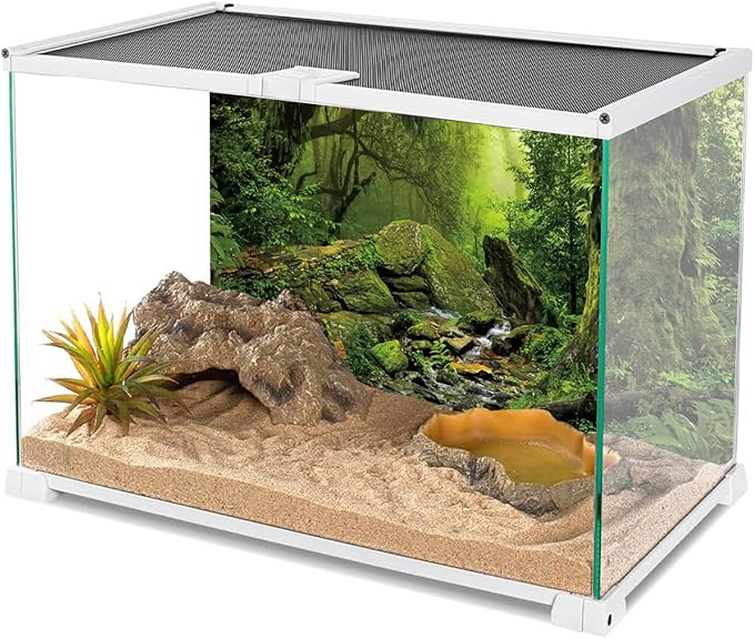 AWERT Tropical Forest Terrarium Background Stream Green Huge Tree Reptile Habitat Background Foggy Rainforest Aquarium Background 36x18 inches Durable Polyester Background