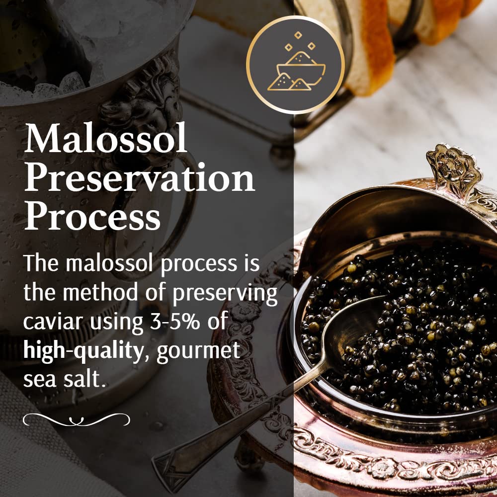OLMA Classic Caviar Black Caviar Gift Box - Includes 2 oz of Siberian Osetra Aurora, White Sturgeon, Paddlefish, Hackleback Sturgeon Fish Roe & Mother of Pearl Serving Spoon - Overnight Delivery