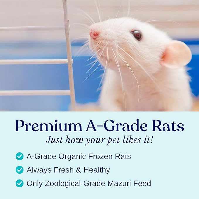 MiceDirect Frozen Mice Small Pinkie Feeders Snake Food for Corn Snakes Ball Pythons Lizards (.5-1 inch) (200 Count)