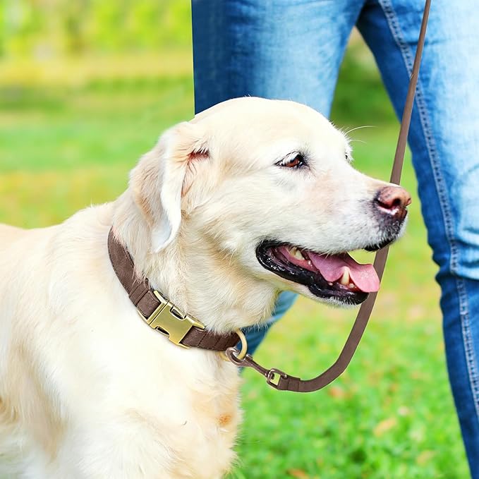 Genuine Leather Dog Collar - Adjustable Pet Collar with Quick Release Metal Buckle, Soft Skin Friendly Real Leather Collar for Small, Medium, Large Dogs (Dark Brown Collar + Rope, M：Fit 12-20" Neck)