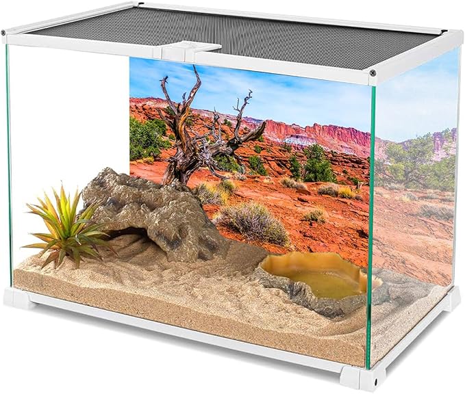 AWERT 72x18 inches Reptile Habitat Background Blue Sky Oasis Orange Desert Terrarium Background Durable Polyester Background