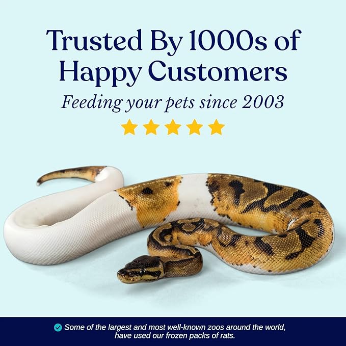 MiceDirect Frozen Rat Pups Snake Food - Frozen Rats for Snakes like Juvenile Ball Pythons, Adult Corn & Ball Pythons, Sub-Adult Red Tail Boas, Monitor Lizards, Birds of Prey - 2.5-3.5 in (125 Count)