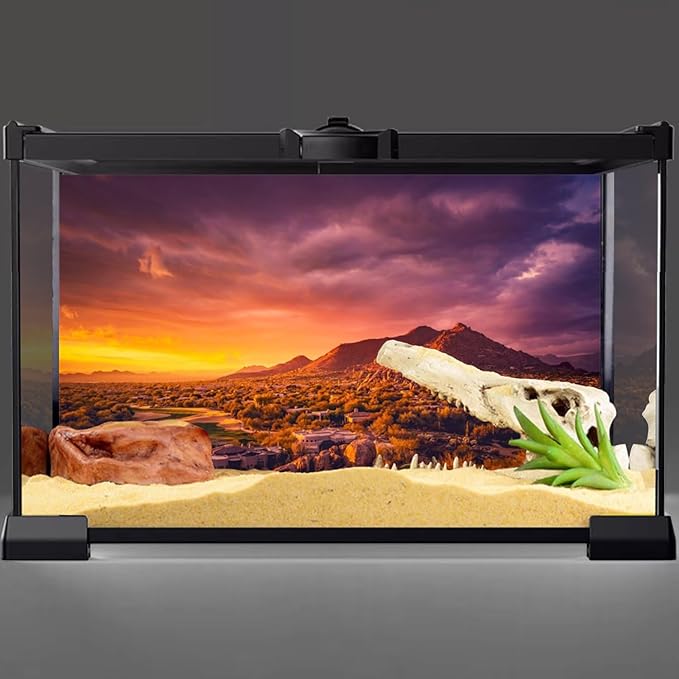 AWERT 36x24 inches Sun and Desert Terrarium Background Mountain Oasis Gobi Reptile Habitat Background Vinyl