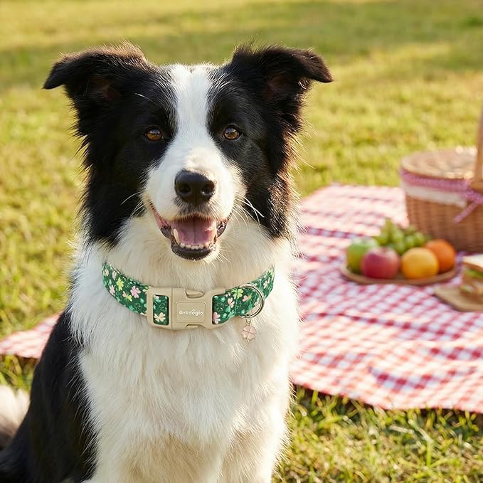 St. Patrick's Day Dog Collar,Green Clover Lucky Shamrock Puppy Collar,Adjustable Spring Cotton Collars Gifts for Small Medium Large Dogs,Dog Accessories XS