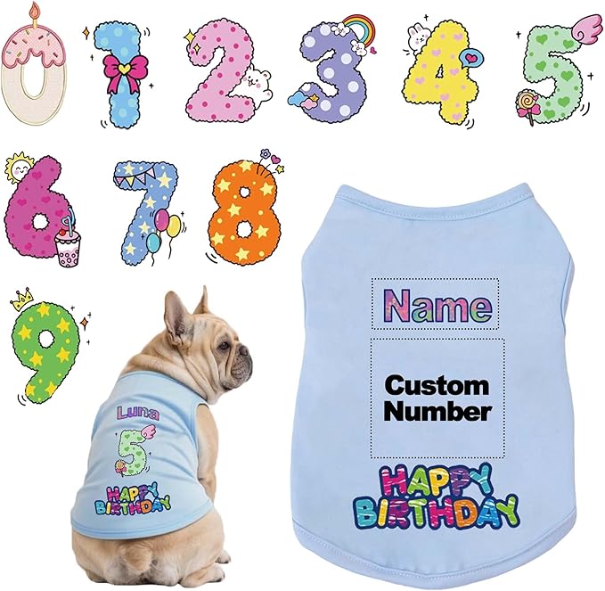 Custom Dog Birthday Shirt,Personalized Pet Apparel Print with Name Age Number,Pet Birthday Outfit,Lightweight Breathable Cotton Vest for Small Medium Large Dogs Cat (Blue, XX-Large)