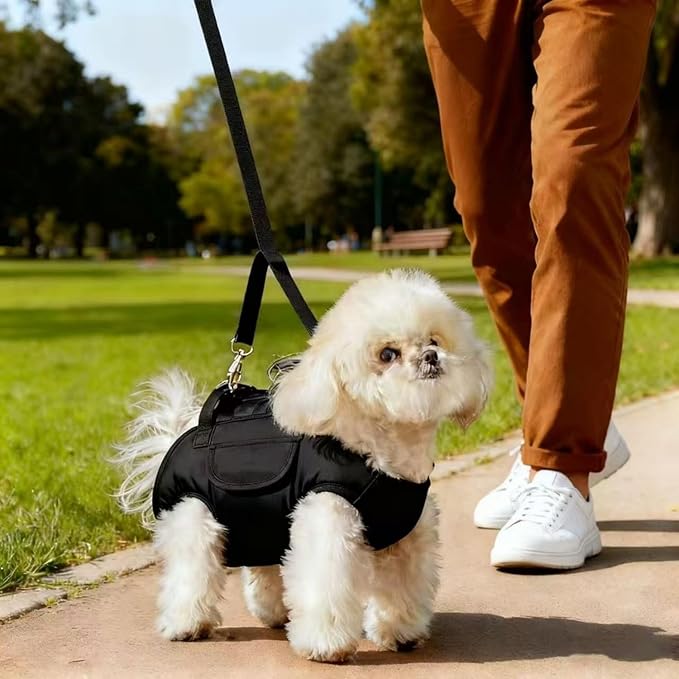 Portable Small Dog & Cat Pet Carrier Sling & Backpack for Small Dogs & Cats & Puppy, Dog & Pet Purse Bag Carrier Sling for Small Dogs with Dog Traction Leash, Crossbody Sling Carriers (Orange L)