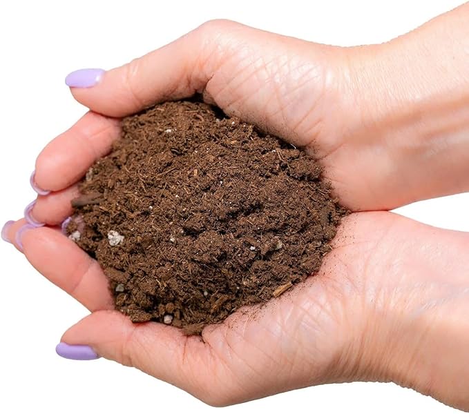 GARDENERA Citrus Tree Potting Soil Mix, Special Blend for Indoor Oranges, Lemons, Limes and More - (3 Quart Bag)