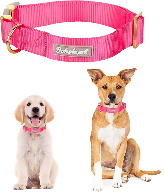 Nylon Dog Collar - Adjustable Rose Red Soft Webbing Dog Collars for Small Medium Large Dogs Boy Girl Puppy Collar with Safety Metal Buckle XS