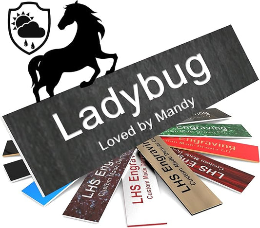 Personalized Horse Stall Name Plates, 2x12 Horse Stall Signs with Adhesive, All Weather UV Protected, Ash Plastic White Letters - Made in USA - N1