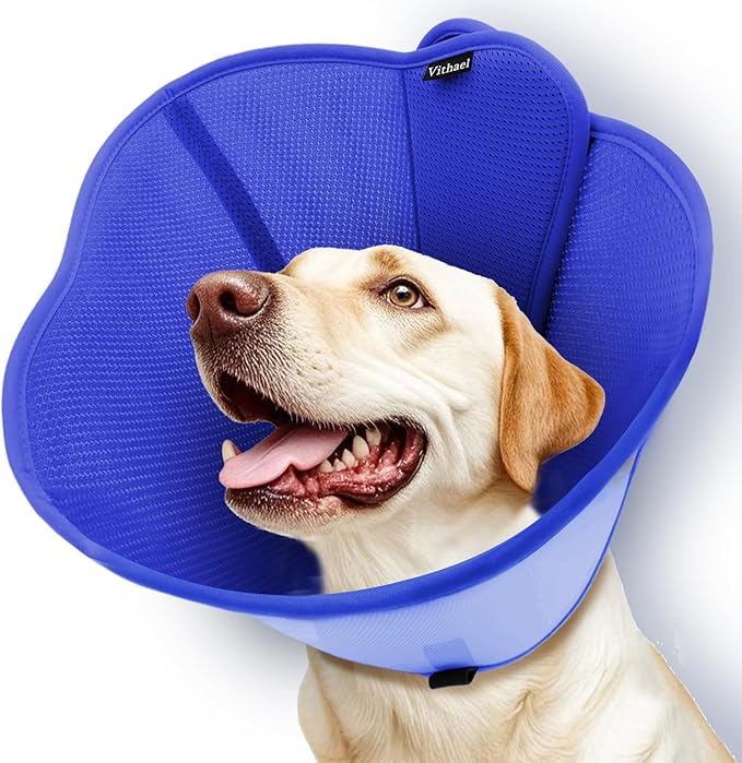 Upgraded Dog Cone Collar for Large Medium Dogs, Soft Dog Cone with Double-Layer Design, Adjustable Pet Recovery Collar for Dogs After Surgery, Elizabethan Collar (XXL, Blue)