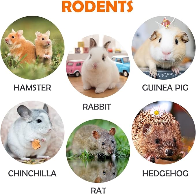 Sofier Rabbit & Guinea Pig Toys 16 Pcs Chew Grass Balls Natural Chews for Rodents - Handmade Enrichment Treats for Chinchillas, Guinea Pigs