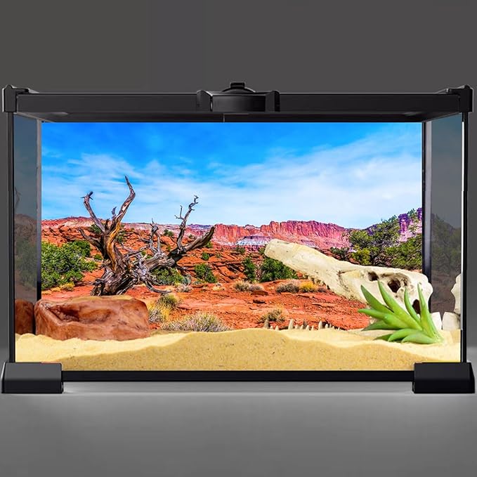 AWERT 24x12 inches Reptile Habitat Background Blue Sky Oasis Orange Desert Terrarium Background