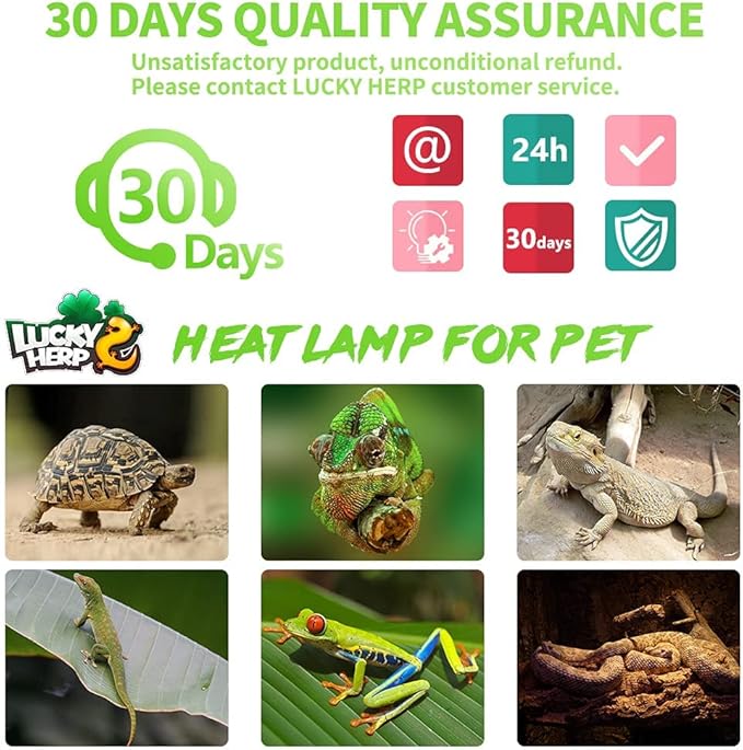 LUCKY HERP 4 Pack 75W Reptile Heat Lamp Bulb (2nd Gen), Amphibian Basking Light Bulb, Reptile Daylight Bulb for Turtle, Bearded Dragon, Lizard Heating Use