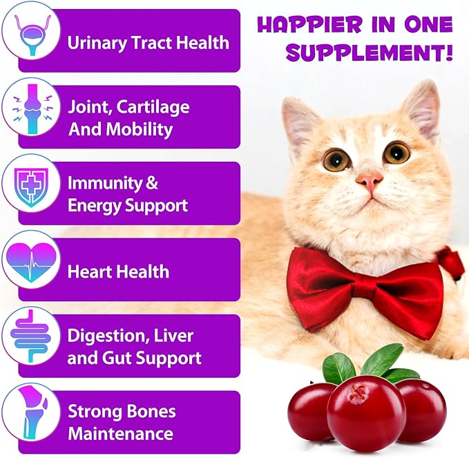 Cat Multivitamin,15 in 1 Cat Vitamins and Supplements, cat Vitamins for Indoor Cats, Liquid Drops for Heart Health, Bones, Joint, Skin & Coat, Immune System Support 60ml 2 fl.oz