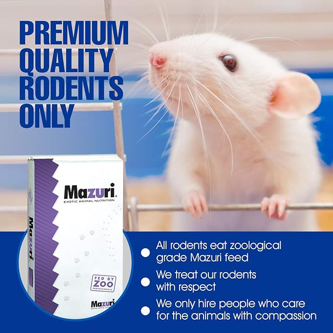 MiceDirect EST. 2003 50 Frozen Mice Weanling Feeders Snake Food for Juvenile Red Tail Boas Ball Python Adult Milk Snakes Corn Sand Boa (2-2.5 in) (650 Grams Min)