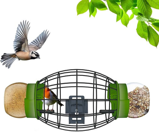 LONA Squirrel Proof Bird Feeding Cage for Outdoors - All-Weather Metal Caged Bird Feeders with Peanut Butter Jar Holder, Chew-Proof Feeding Cage for Small Birds (Oval Cage, 2 Feeding Units)