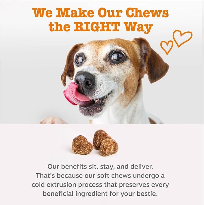 Zesty Paws Dog Multivitamin, Chewable Dog Vitamins and Supplements for Hip & Joints, Skin & Coat, Omega 3 Fish Oil for Dogs- Senior & Puppy Multivitamin - Chicken- 250ct
