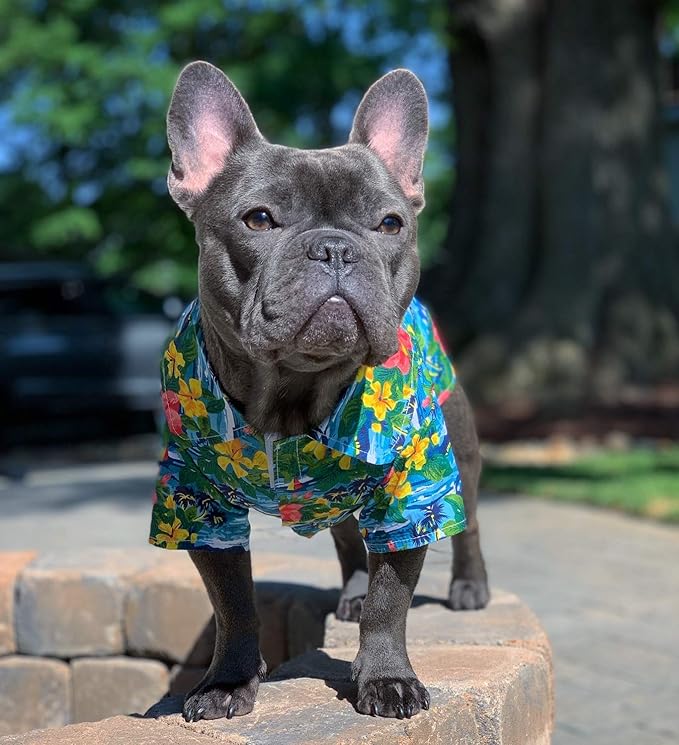 Parisian Pet Hawaiian Dog Shirt - Cotton Summer Clothes - Stylish Beach Outfit - Hook and Loop Closure - Machine Washable - XL