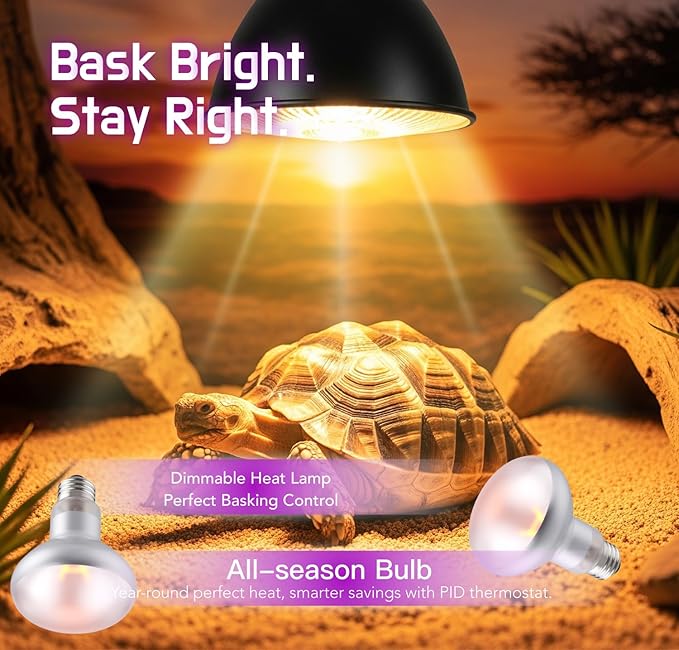 Reptile Heat Lamp, 75W 2-Pack Incandescent Basking Spotlight Bulbs for Reptiles Terrarium Tanks, Reptile Heat Bulb for Infrared Light, Bearded Dragon Heat Bulbs (75W)