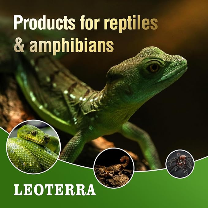 Leoterra Reptile Heat Lamp Bulb 50W 2-Pack, UVA Basking Bulb for Bearded Dragon, Tortoise, Gecko & Chameleon, E26 Base Reptile Heating Lamp for Terrarium, Long-Lasting, Applicable Thermostats 120V