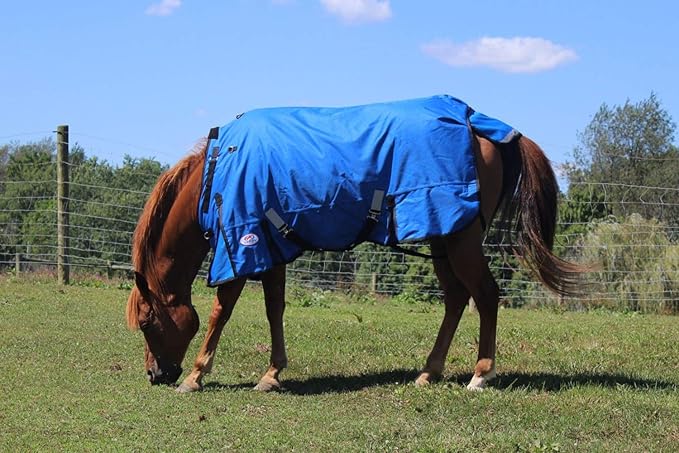Derby Originals Nordic Tough 1200D Ripstop Waterproof Reflective Winter Horse Turnout Blanket 300g Heavy Weight, Royal Blue, 75"