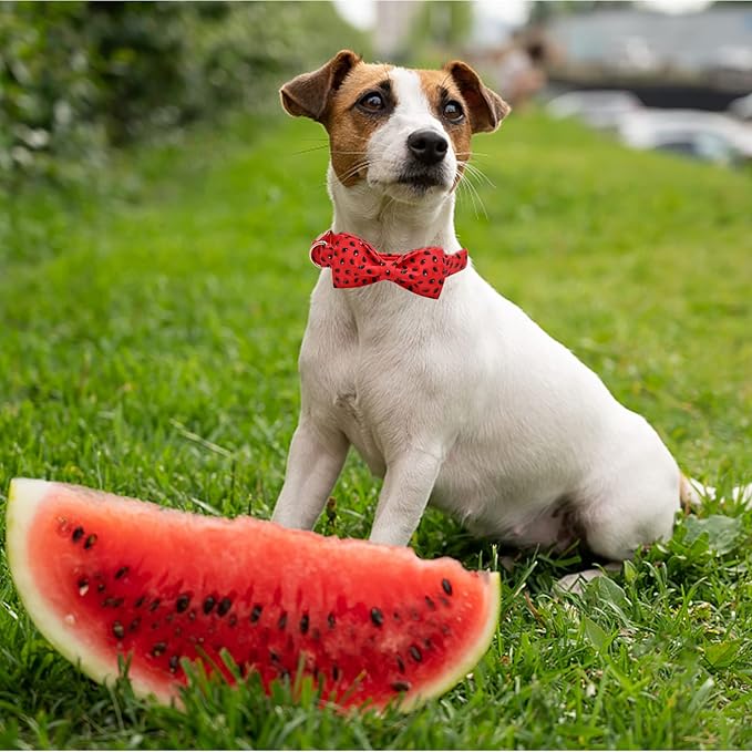 Lionheart glory Dog Collar, Watermelon Dog Collar with Bow, Summer Dog Bowtie Collar Cute Pet Collar Gift for Small Dog