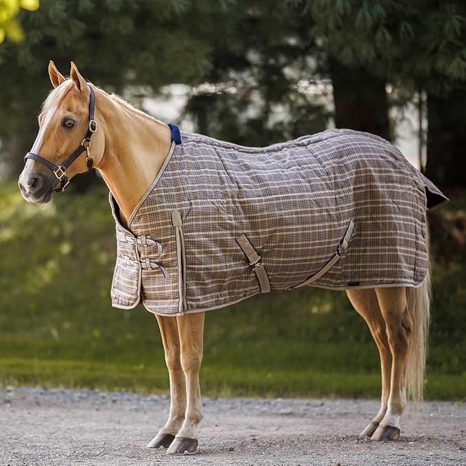 Country Pride Highland 1200D Lightweight Stable Blanket (62, Tan Plaid)