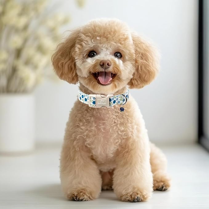 Spring/Summer Dog Collar for Large Dogs - Fresh Blueberry Girl Boy Dog Collars, Soft Lightweight Puppy Collar, Breathable Adjustable Male Female Fruit Floral Dogs Collars XL