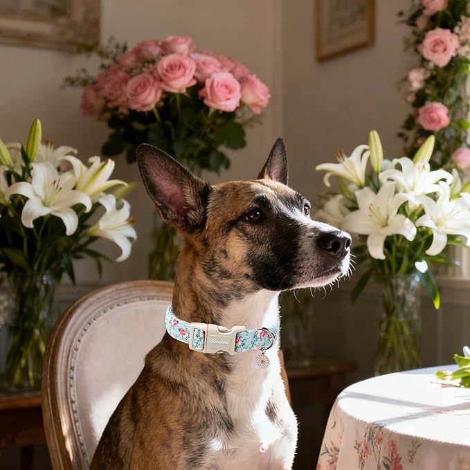 DOGWONG Floral Dog Collar, Cute Adjustable Flower Collar, Girl Female Dog Collar with Strong Plastic Buckle for Small Medium Large Dogs,S