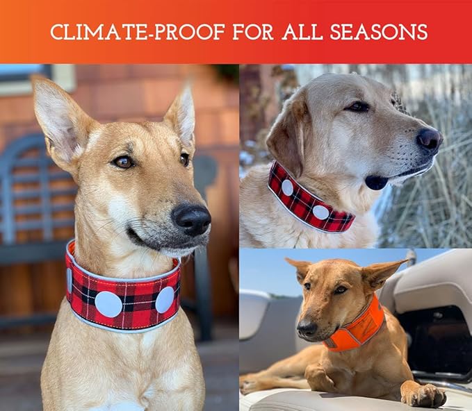 SPOT THE DOG! Reflective Dog Collar - Adjustable Pet Collars, Safe, Durable, Comfortable Dog Walking Accessories for Large Dog, Hunting Dog, Puppy, Boy, Girl Dog Collars (Blaze Orange, Red Plaid, L)
