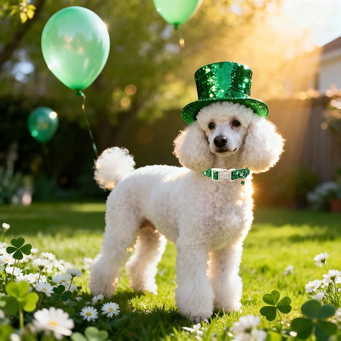 St. Patrick's Day Dog Collar for Large Dogs - Bold Green Lucky Clover Dog Collars, Cute Irish Party Shamrock Puppy Collar, Lightweight Adjustable St. Patricks Day Pet Collars L