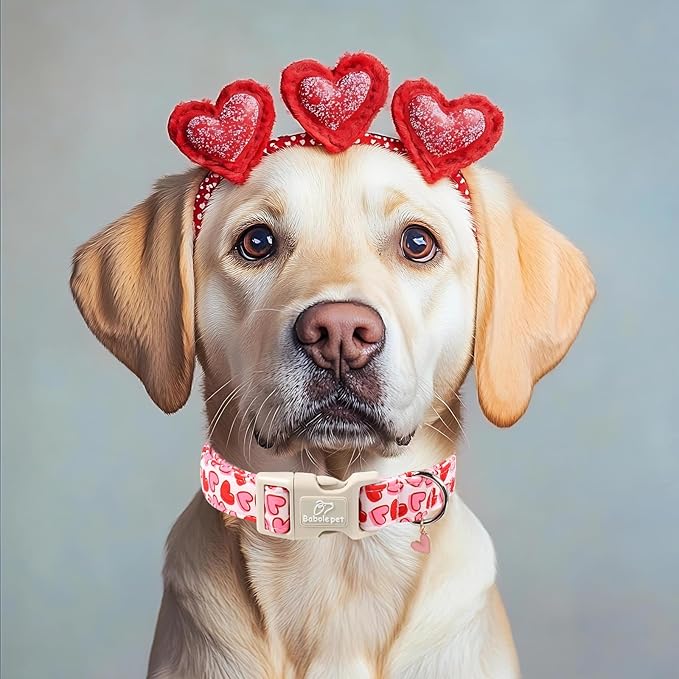 Valentines Dog Collar for Large Dogs - Pink Valentine Hearts Dog Collars, Girly Love Female Dogs Collars, Lightweight Adjustable Cute Puppy Collar with Quick-Release Buckle XL