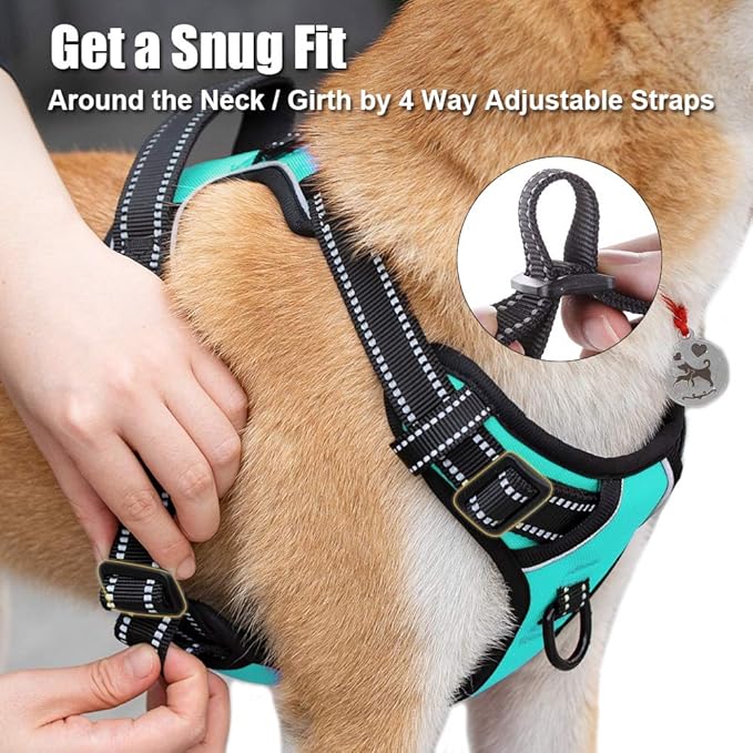 PoyPet No Pull Dog Harness, Reflective Comfortable Vest Harness with Front & Back 2 Leash Attachments and Easy Control Handle Adjustable Soft Padded Pet Vest for Small to Large Dogs (Mint Blue,S)