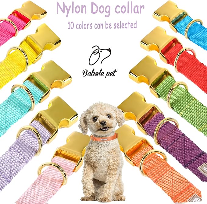 Nylon Dog Collar - Adjustable Orange Soft Webbing Dog Collars for Small Medium Large Dogs Boy Girl Puppy Collar with Safety Metal Buckle XS